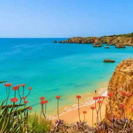 Paraiso De - A True Paradise In An Amazing Nature Place With Direct Access To The Pool - Peace And Relax - Next To Village And The 펜션